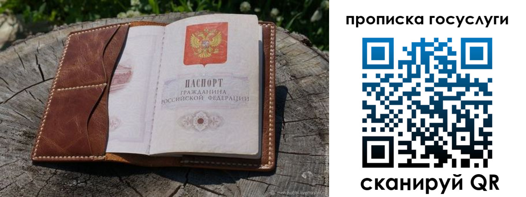прописка для школы в Заозёрске